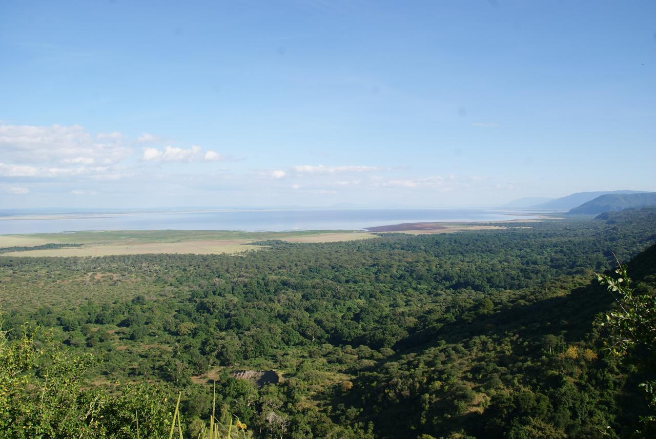 Migombani Camp Mto wa Mbu